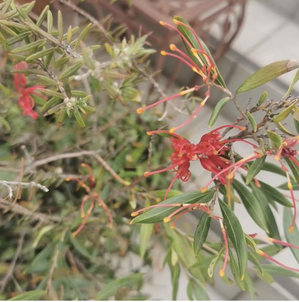 作り込みすぎない